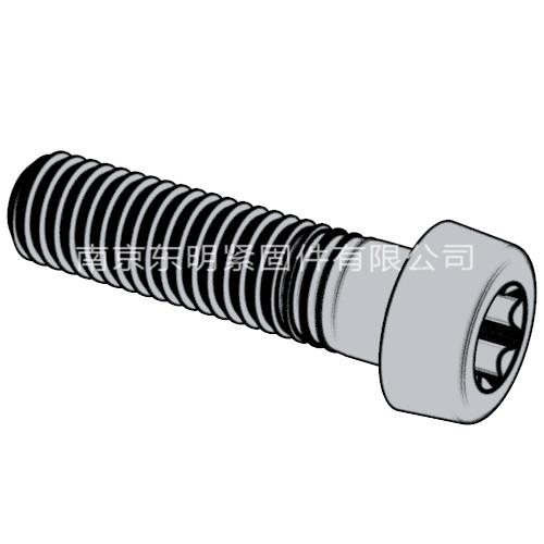 GB/T 6190 - 1986 內(nèi)六角花形圓柱頭螺釘